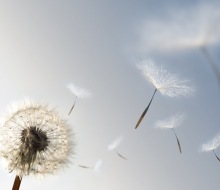 Psychoanalytická psychoterapie 1