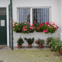 ordinace - psychoterapie Praha